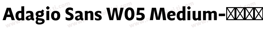 Adagio Sans W05 Medium字体转换